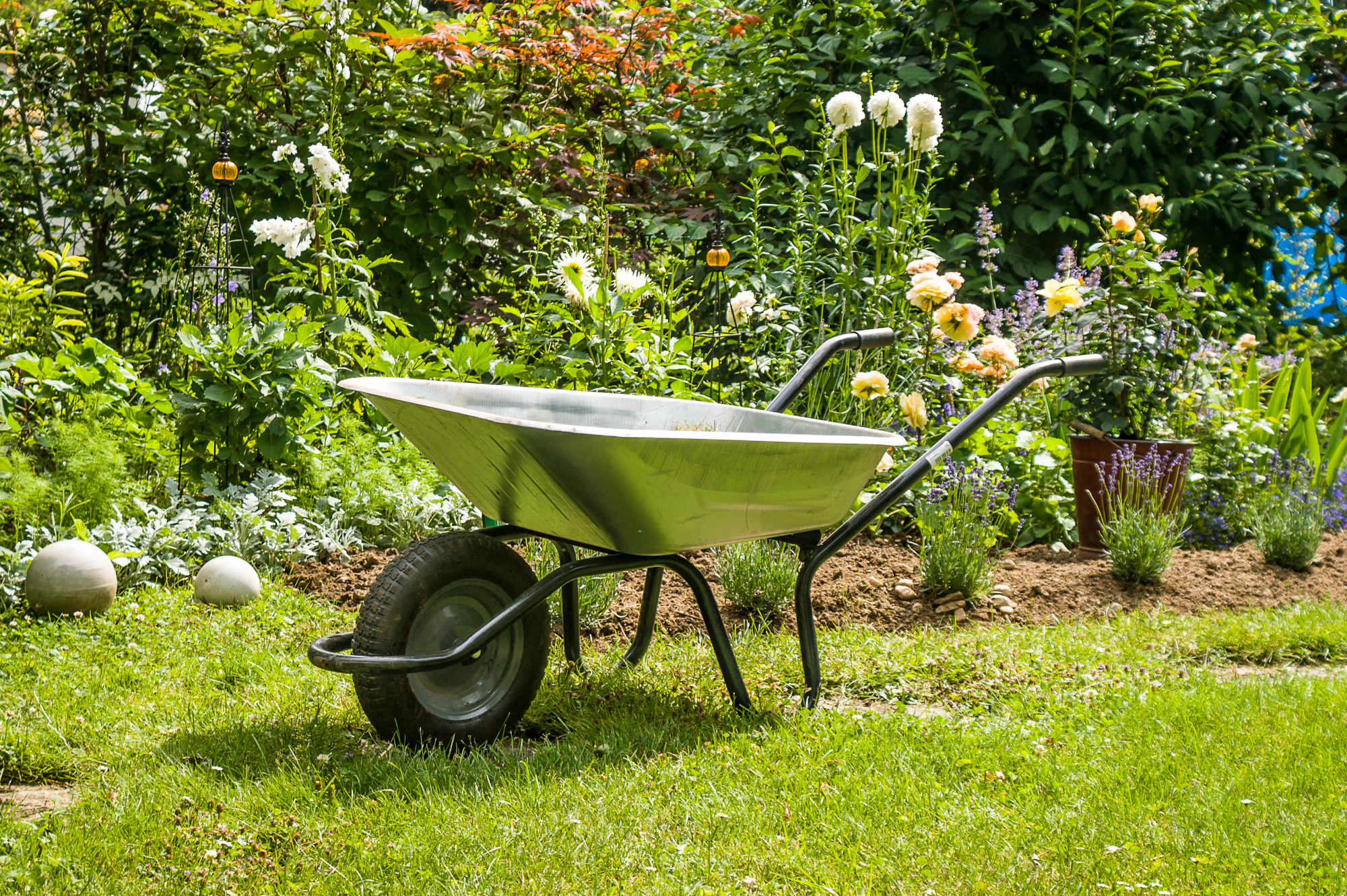 Landscape Construction