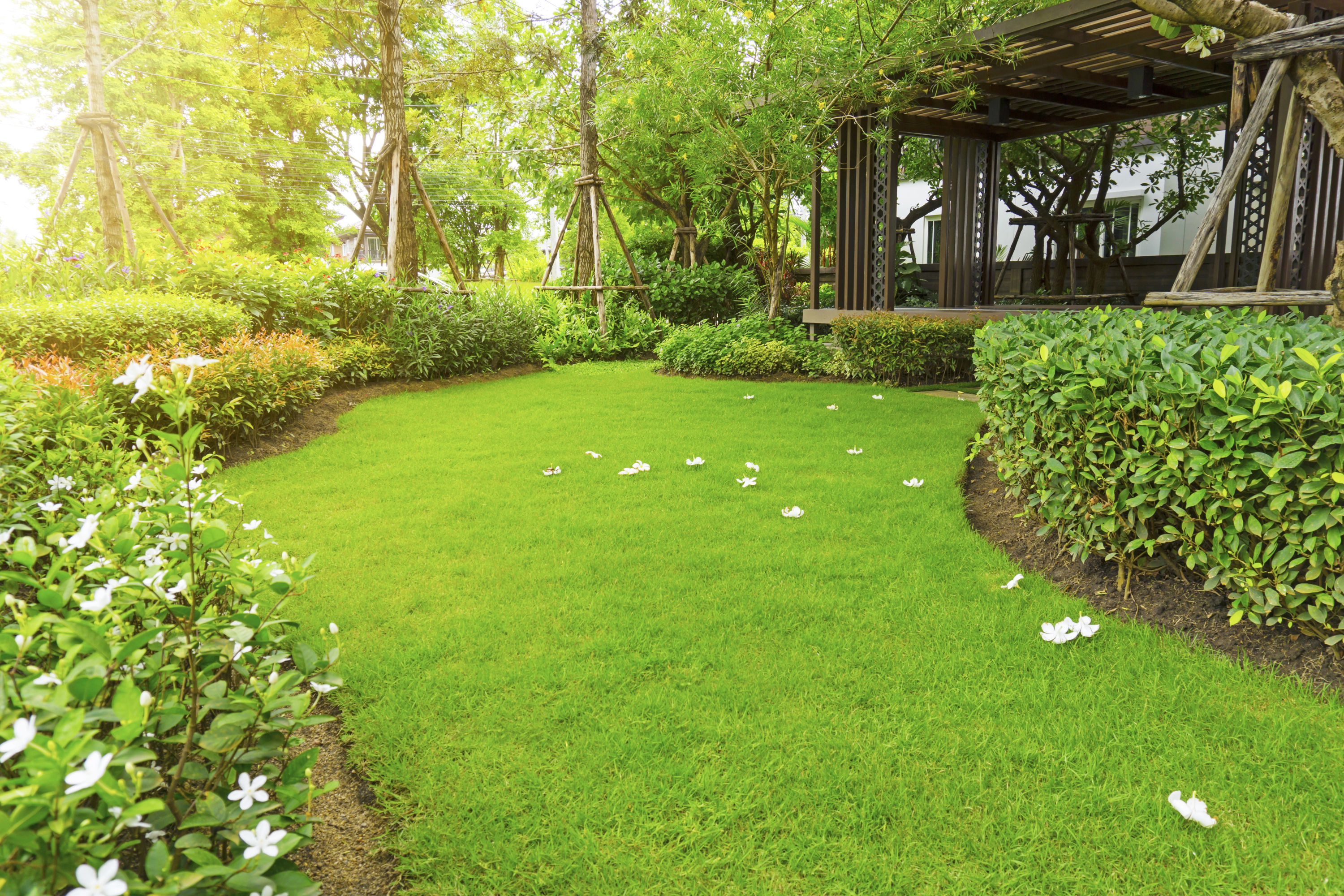 Landscape Maintenance